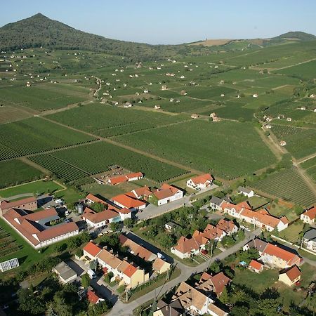 Tiffán's Pincészet és Panzió Villány Quarto foto