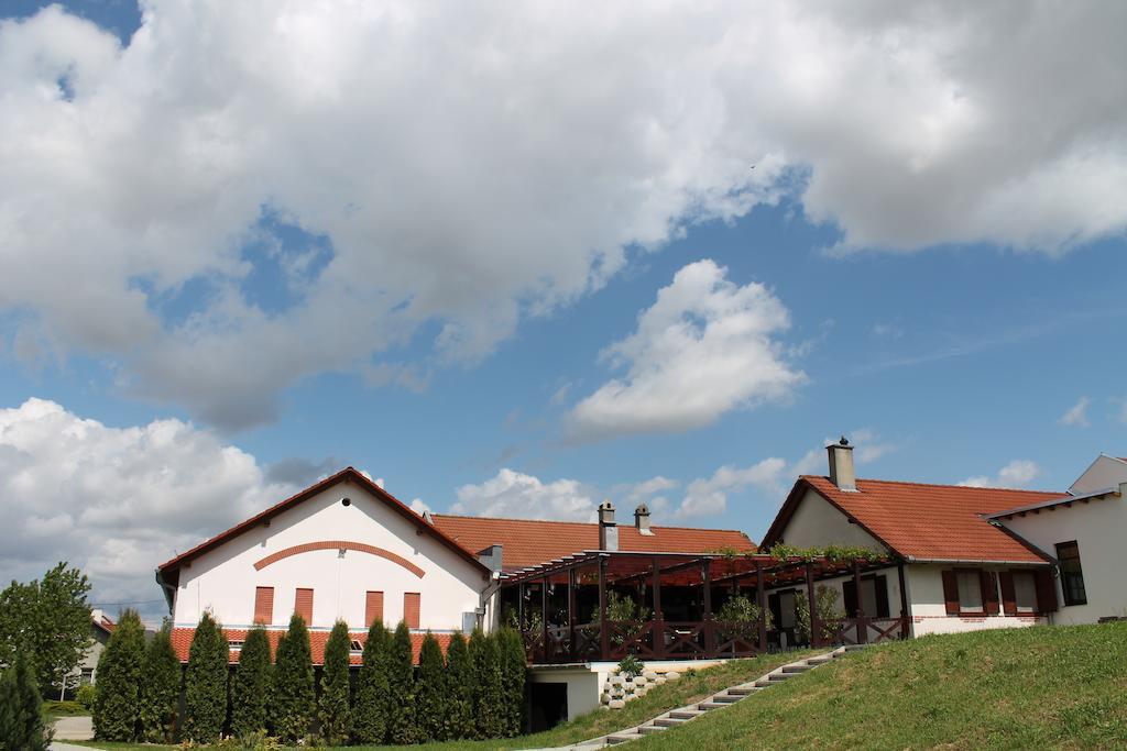 Tiffán's Pincészet és Panzió Villány Exterior foto