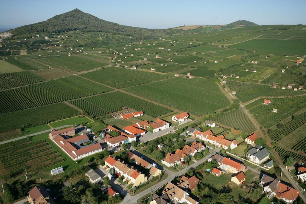 Tiffán's Pincészet és Panzió Villány Quarto foto