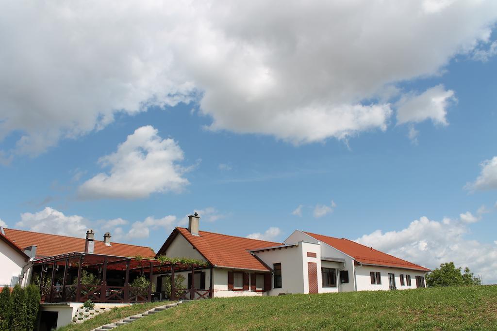 Tiffán's Pincészet és Panzió Villány Exterior foto